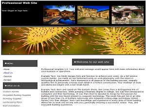 Sample Professional Site
